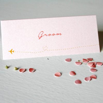 Pearlescent Travel Wedding Place Cards Blush Pink