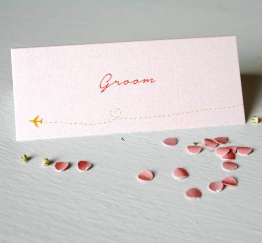 Pearlescent Travel Wedding Place Cards Blush Pink