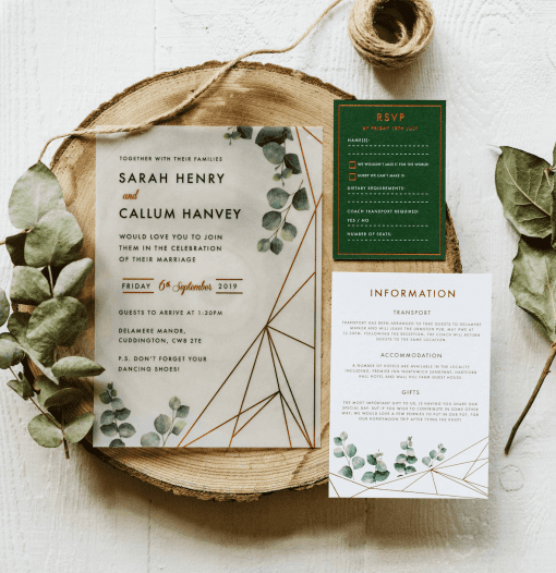 Eucalyptus Geometric Vellum Invitation - Designed by Rodo Creative